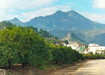 For sale Spain