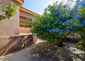 For sale Spain